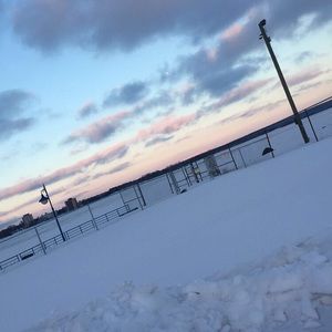 Meet your Posher, Paige